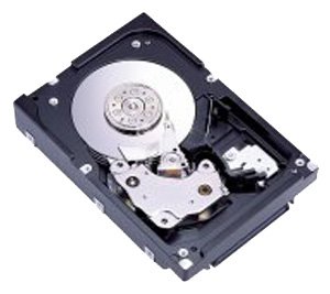 Picture of Hard Drive Fujitsu MAX3036NP