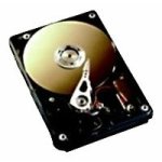 Picture of Hard drive Fujitsu S26361-F3208-E114